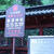 【お散歩】根津神社