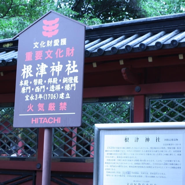【お散歩】根津神社