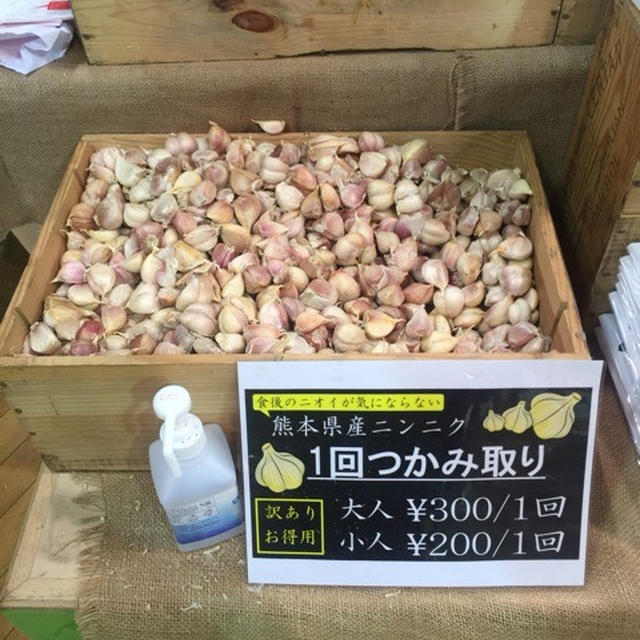 玉川高島屋　タマガワグリーンマーケット　熊本産のにんにくつかみどり