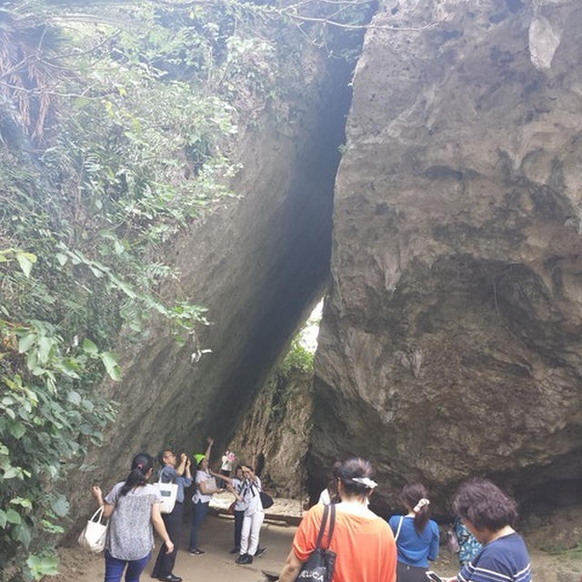 ただいま