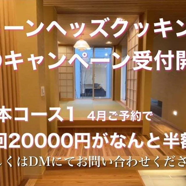 春の半額キャンペーン受付開始！