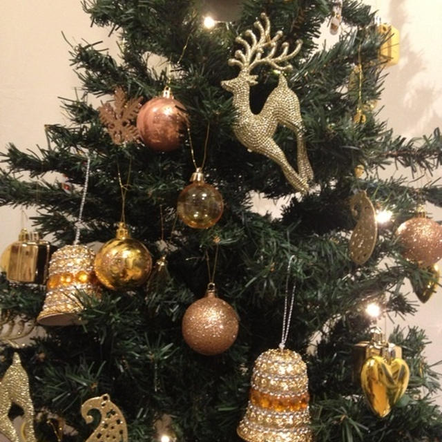 メリークリスマス！皆様素敵なイブを♪
