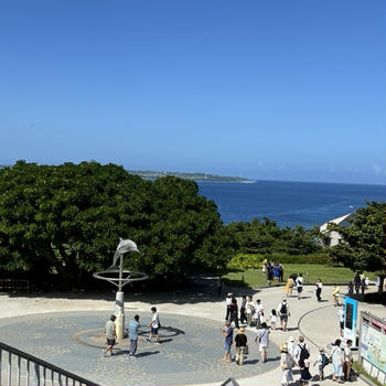 格安沖縄の旅　?海洋博公園でランチ