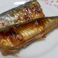 解凍さんまもおいしく焼き魚　/　ゲームに夢中