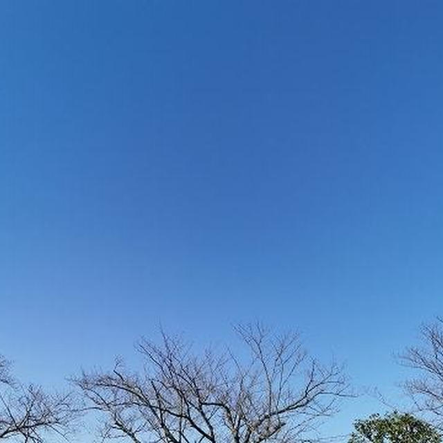 なぜか晴れちゃうラジオ体操