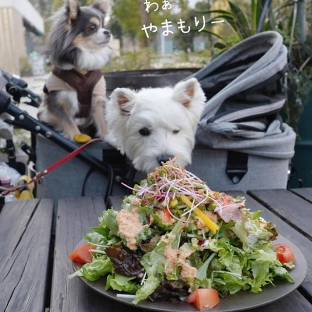 【ペット可レストラン】me at park ~中野セントラルパーク内～
