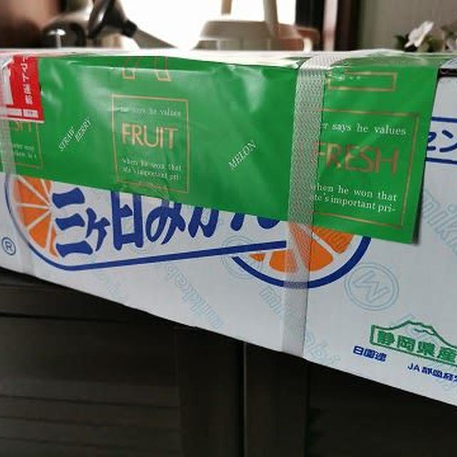 R1年度ふるさと納税 静岡県 浜松市 「三ケ日みかん 約5kg」