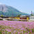 蓮華畑と三岐鉄道北勢線　阿下喜駅より