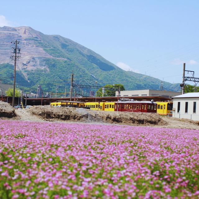 蓮華畑と三岐鉄道北勢線　阿下喜駅より