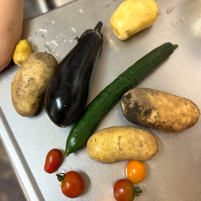 息子が収穫した野菜 大満足な夜ごはん