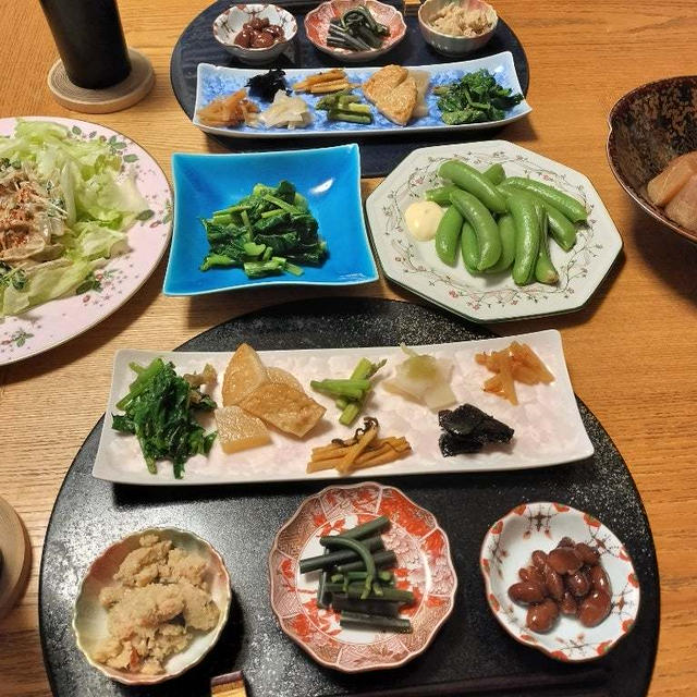 大根とスペアリブの炊いたん、自家製高菜漬け、スナップえんどう、こんにゃくサラダと小鉢10品で晩酌