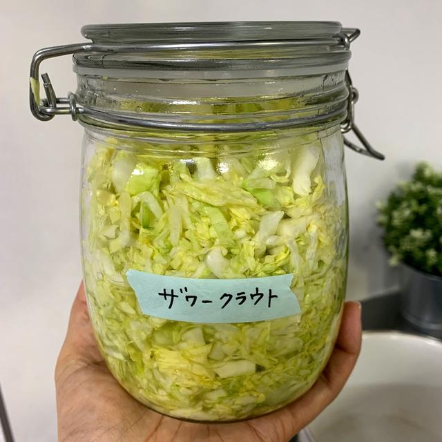 免疫力アップ！おうちで作る簡単発酵食品【ザワークラウト】