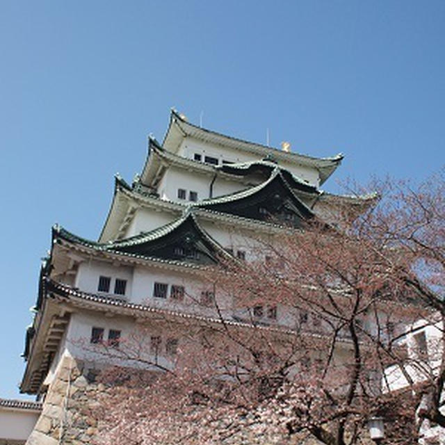 お花見と名古屋城見学と・・・