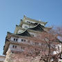 お花見と名古屋城見学と・・・