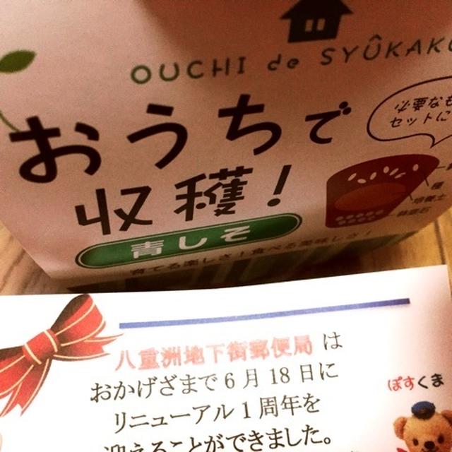 八重洲地下街郵便局　リニューアル1周年