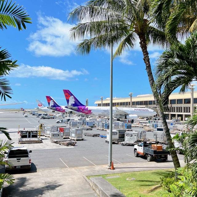 デジャブ⁈ ハワイの空港で即決‼︎ と 恒例の反省会