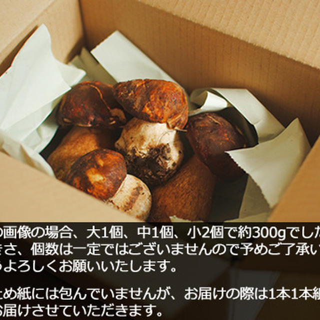 2015年最初で最後のフレッシュポルチーニ入荷です