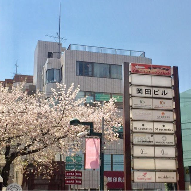 自由が丘 緑道沿いの桜　2017年4月14日朝 スターバックスコーヒー 奥沢2丁目店前の桜も