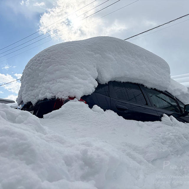 【大福＠2025】今年もいい大福が生まれました【大雪】