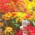 旧齋藤家別邸の紅葉　新潟市