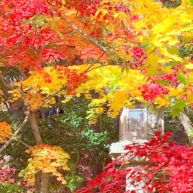 旧齋藤家別邸の紅葉　新潟市