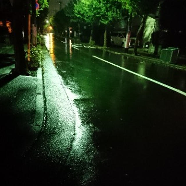 同じ時間帯に歩いてみた