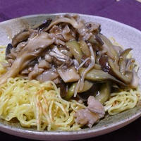 なすときのこのあんかけ焼きそば～スパイス大使