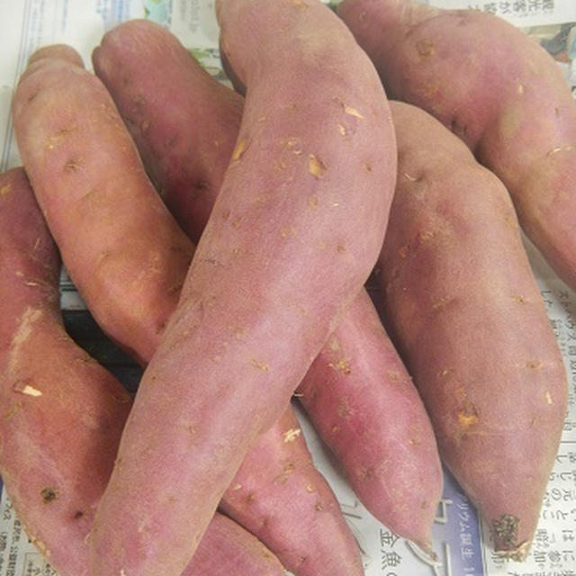 塩釜焼き芋