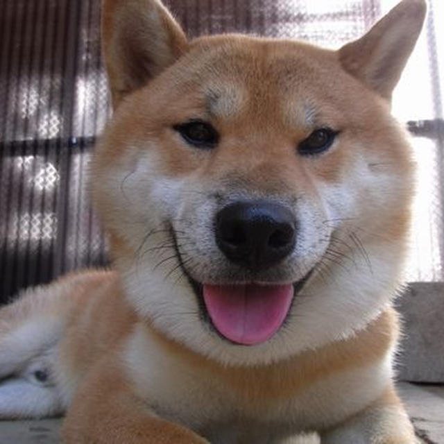 お月さま。