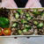 2023/9/20のパートナーの相棒のボリューミーお弁当 【#お弁当】【1943個目】