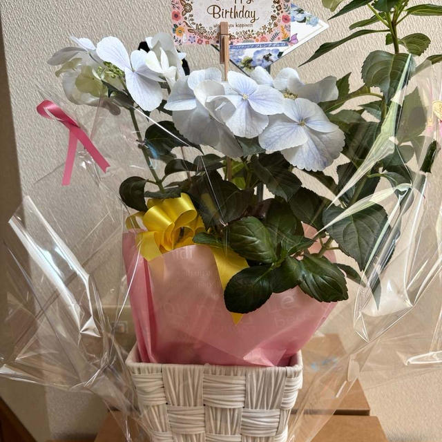 スッカリ忘れて焦ったこと