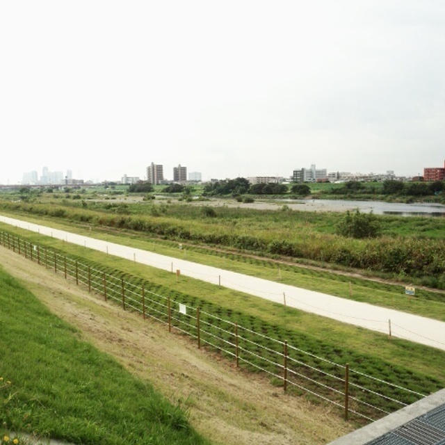 　二子玉川公園