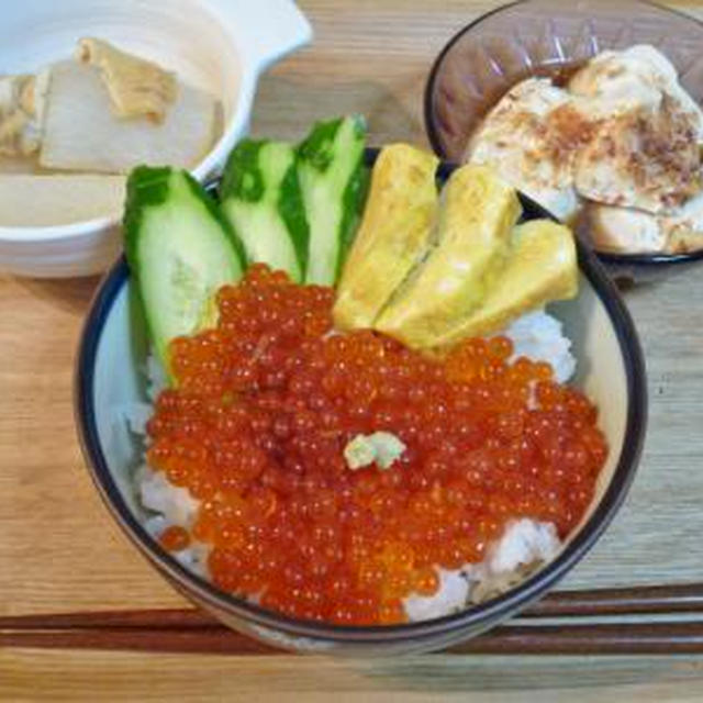 秋鮭の〇〇〇