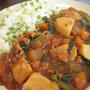 鳥鍋の残り出汁で作ったよ♪和風カレーと葱ごはん