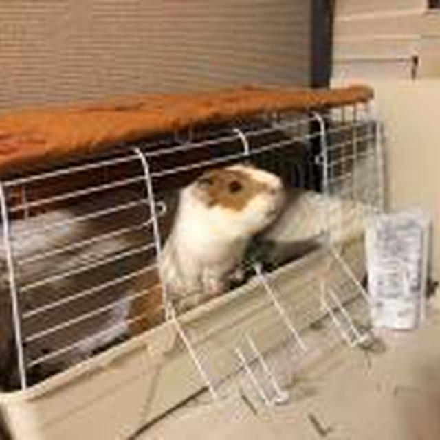 メイちゃん
