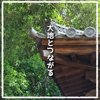 アーシング効果