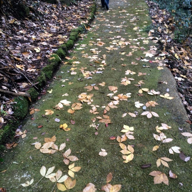 国宝「朝光寺」
