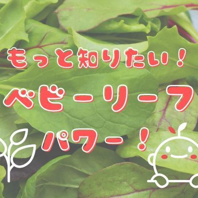 「ベビーリーフ」の正体は？どんな栄養があるの？食べると良いことがたくさん！