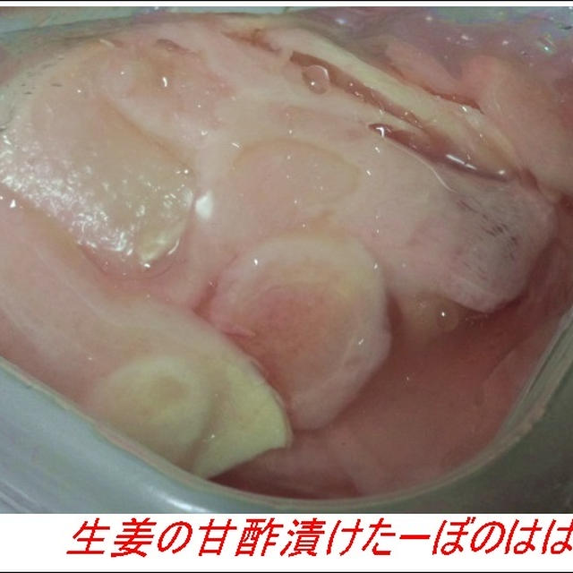 我が家のガリとＳＳ５０１Ｈeart&Heartパンフ