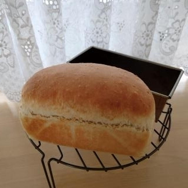 白ごまミニ食パン♪