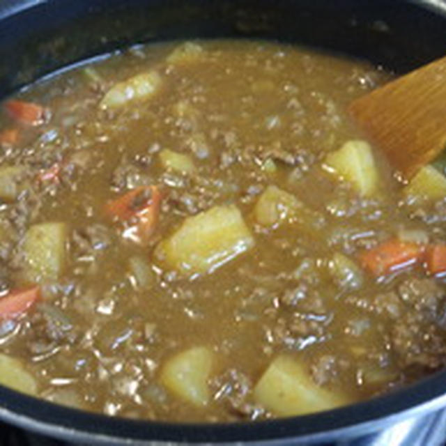 ひき肉300gで大満足♪　〜我が家風ひき肉カレー〜