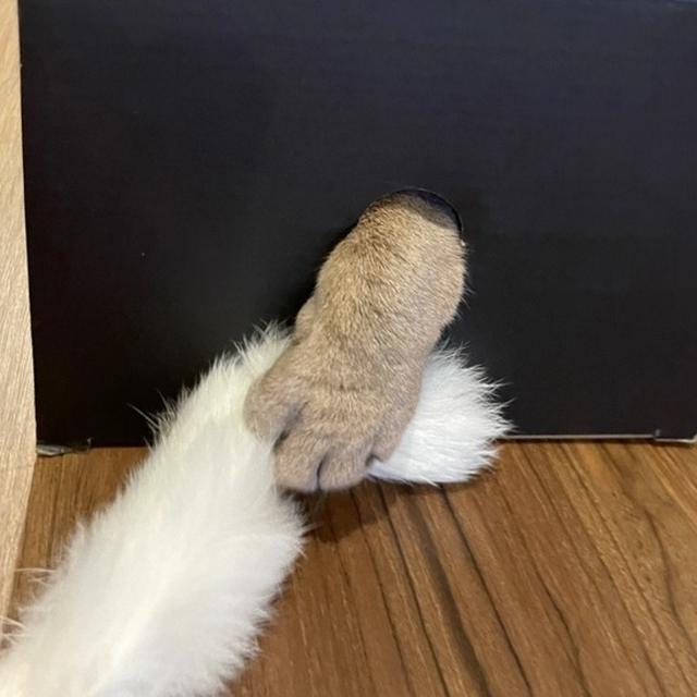 おそろし握手会