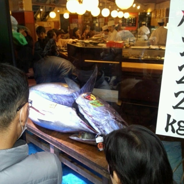 初セリ一番本鮪　大間産２２２kg