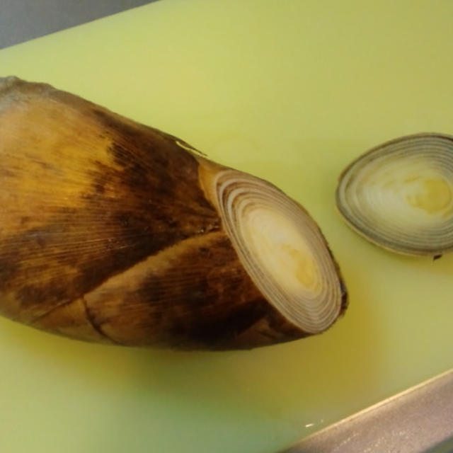 筍のゆで方①　美味しい筍の旬がもうすぐやってきます♪