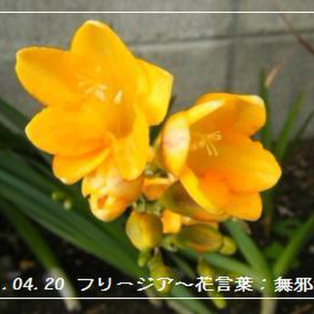 【記録】I love you ＆ I need you ふくしま