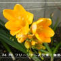 【記録】I love you ＆ I need you ふくしま