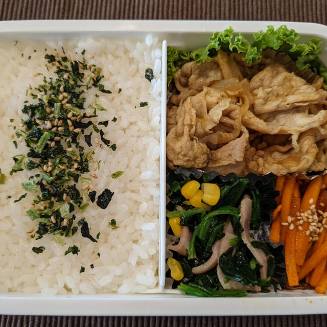 主人のお弁当　〜豚肉の甘辛マヨ炒め〜