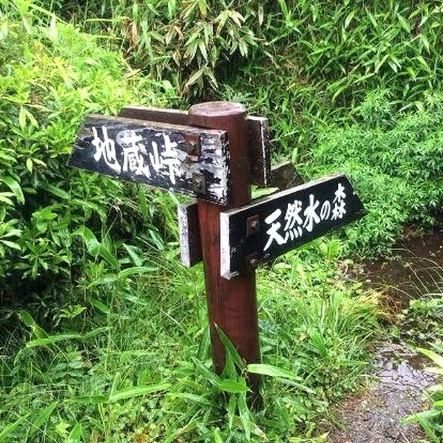 【熊本・阿蘇】　サントリー天然水の森へ～その１～