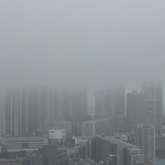 雨ですね、、と、ビックリしたニュース、、