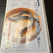 話題の「めすうなぎ」を、兼光でひつまぶしで食す